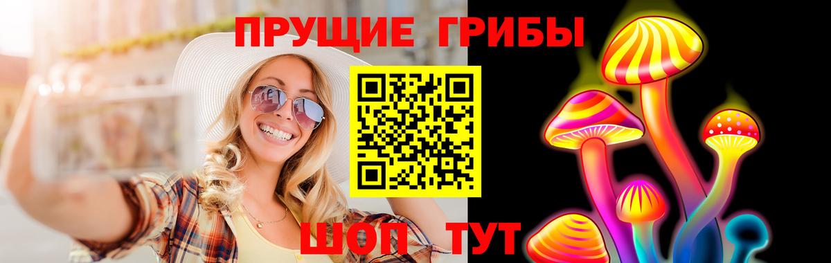 где купить наркоту  Вход с VPN  Янаул  Галлюциногенные грибы Psilocybine cubensis  Псилоцибиновые грибы прущие грибы 