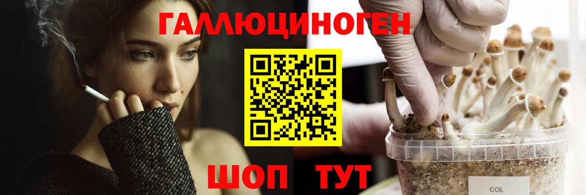 Галлюциногенные грибы MAGIC MUSHROOMS Янаул